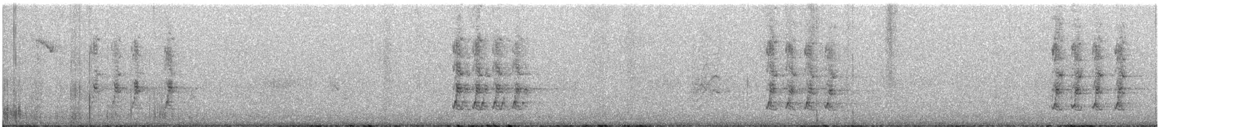 Geai de Steller (groupe stelleri) - ML367278771