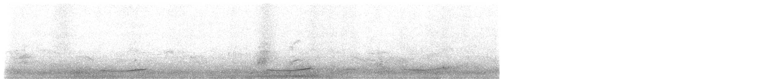 Pasifik Koeli (cyanocephalus/subcyanocephalus) - ML36727981