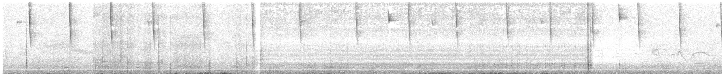 kolibřík černobílý - ML367283101