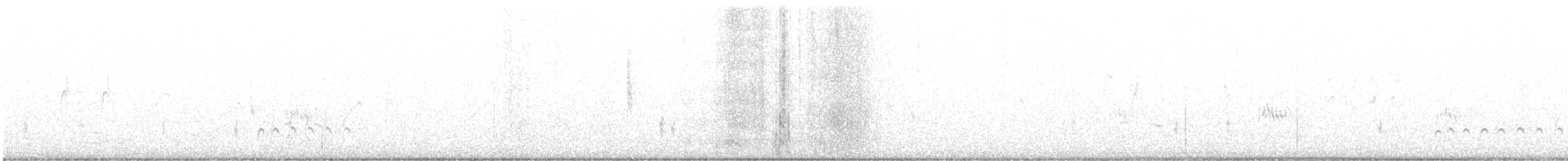 Whimbrel (Hudsonian) - ML367298051