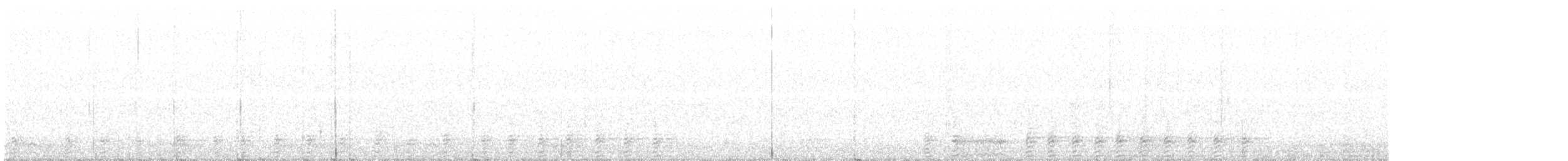 granjerpe (canadensis gr.) - ML367388331