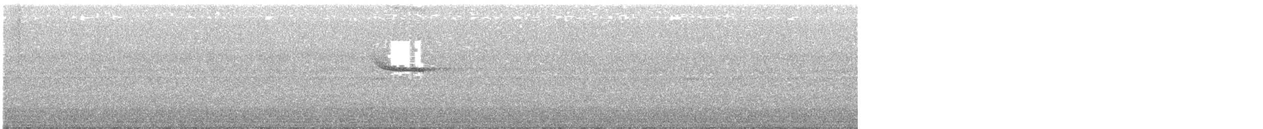 Arrenga siffleur (caeruleus) - ML367408581