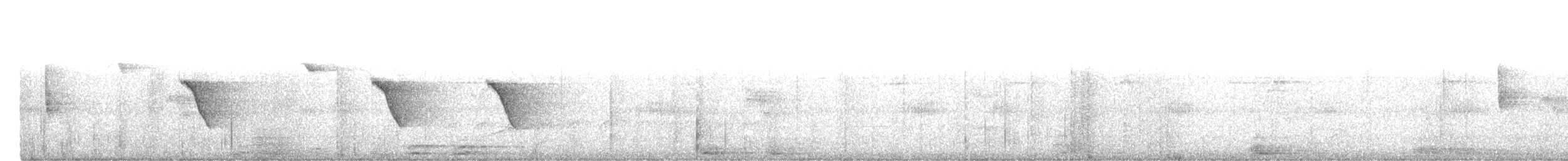 Olive Sparrow - ML367464081