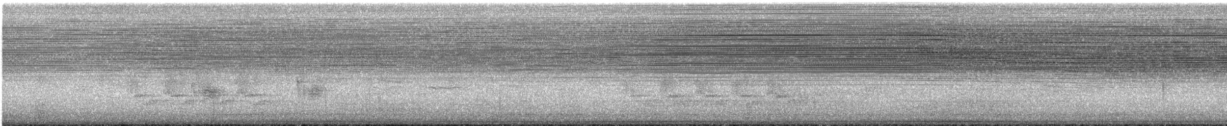 Поплітник каролінський - ML367473831