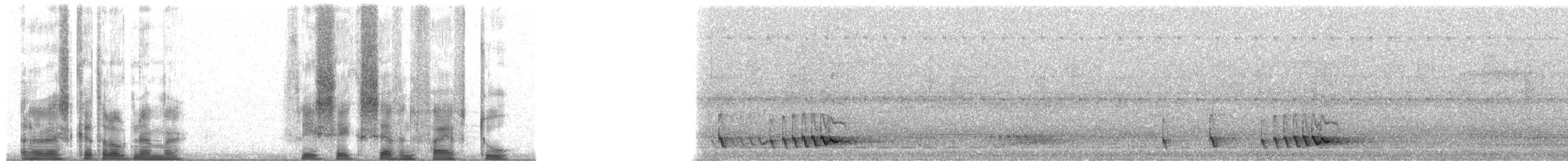 Barbu élégant - ML36752