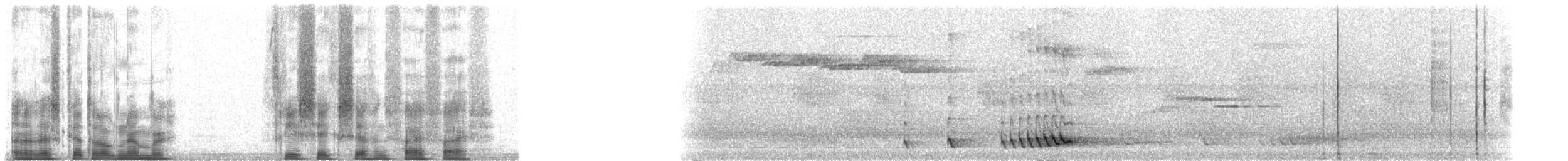Barbu élégant - ML36755