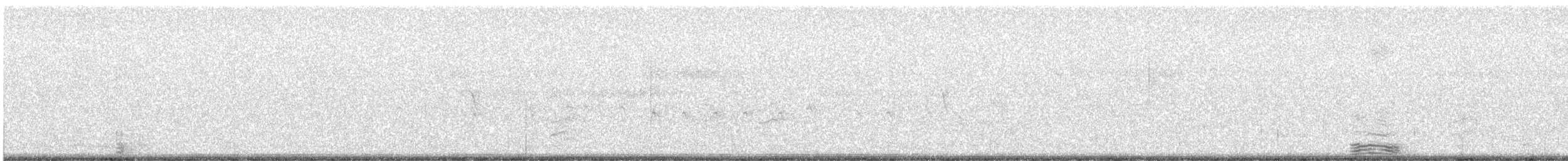 Lesser Black-backed Gull - ML367558041