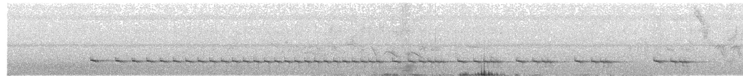 Мурашниця екваторіальна - ML367584031