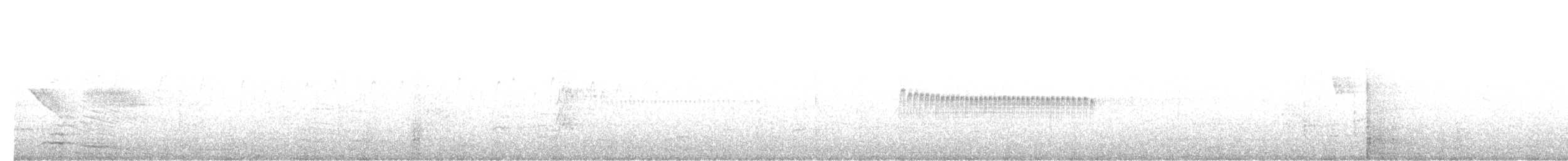 Синицевый гренадерчик - ML367614931