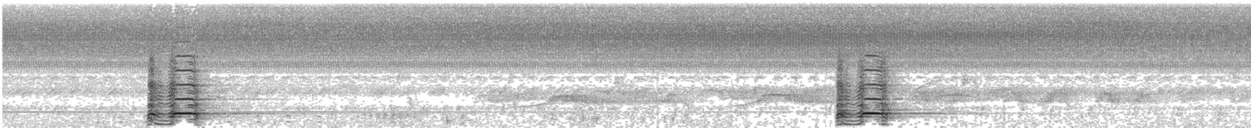 Oihulari lepokoduna - ML367654521