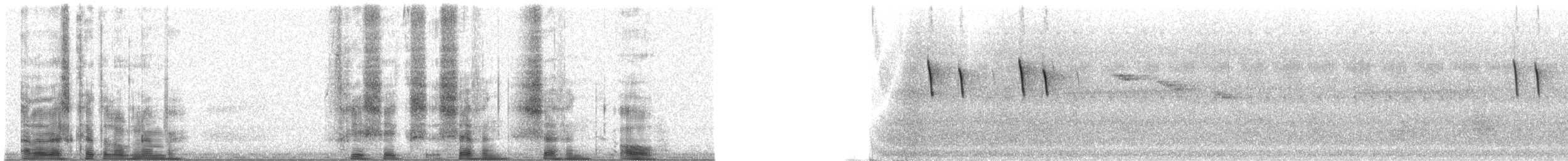 Краснохвостая нектарница - ML36770