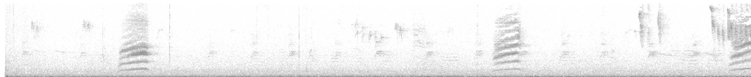 Fleckengrundammer [oregonus-Gruppe] - ML367725891