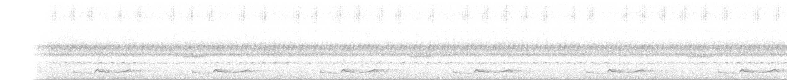 Seidennachtschwalbe - ML367749031
