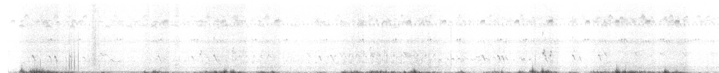 Lesser Yellowlegs - ML367755721
