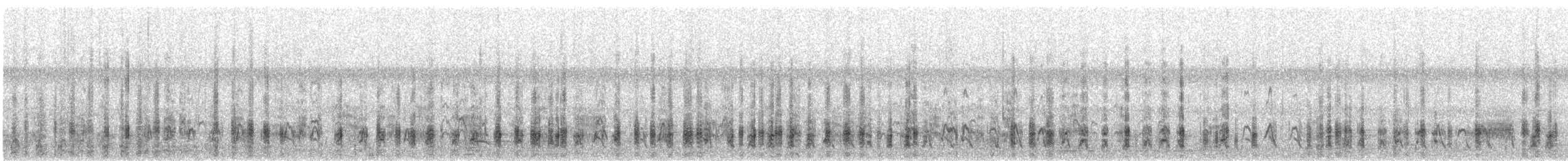 Stockente - ML367768381