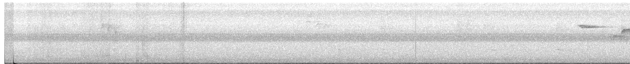 Brown Creeper - ML367786721