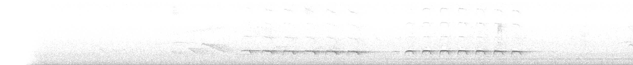 Weißbinden-Ameisenvogel - ML367810141