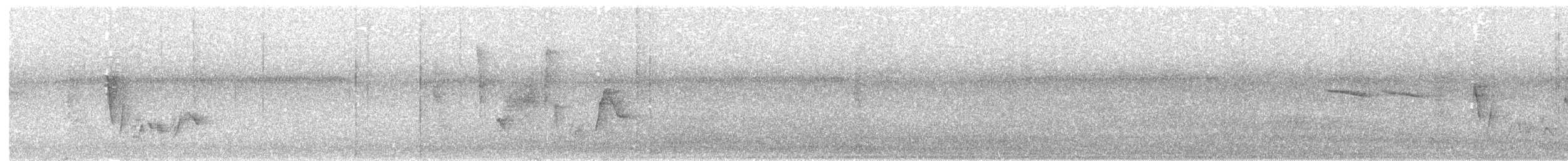 Vireo Ojiblanco - ML36788121