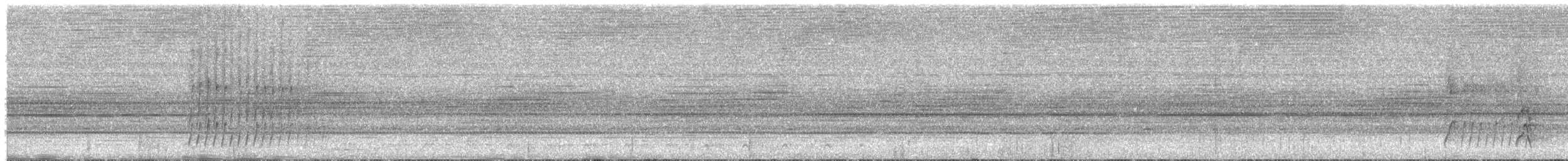 Rotspiegel-Ameisenvogel - ML367929931