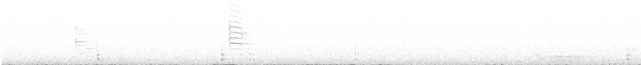 Lagopède à queue blanche - ML367949581