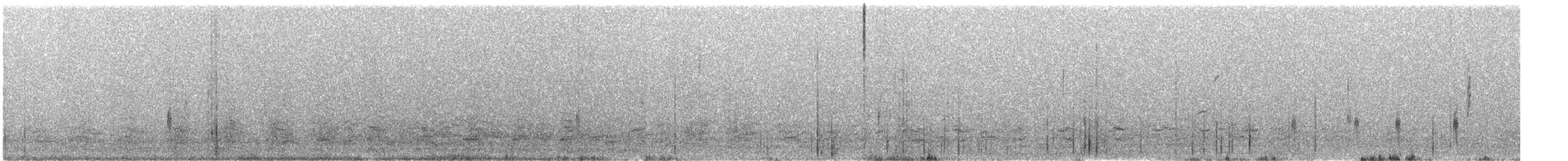 Пелікан рогодзьобий - ML368132321
