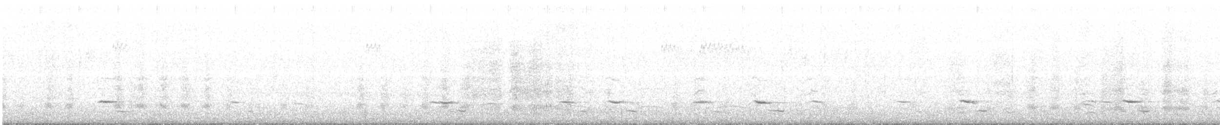 furuskrike (stelleri gr.) - ML368140721