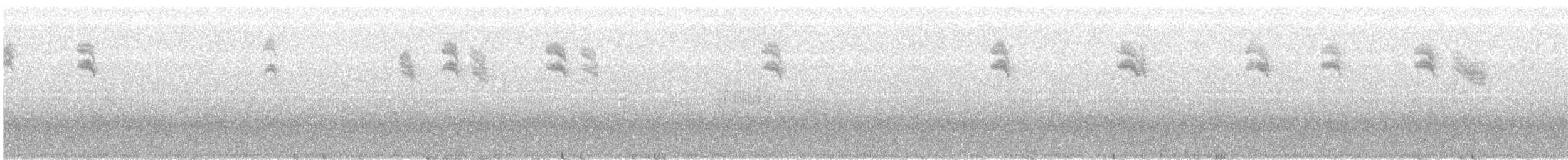 Spotted Flycatcher - ML368174711