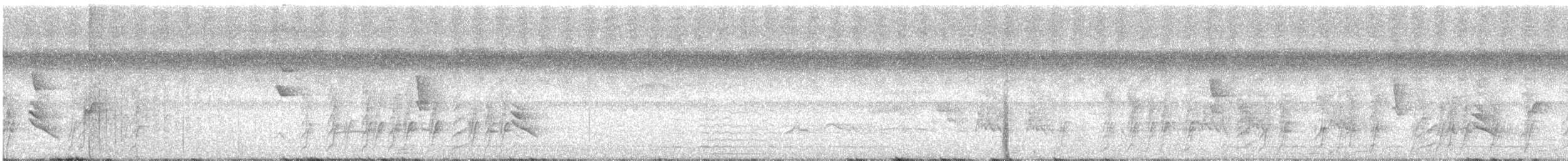 Pepitero Grisáceo Norteño - ML368181951