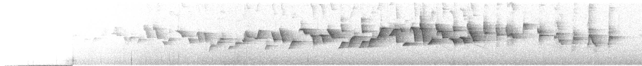 Белолицая x Очковая канделита (гибрид) - ML36823041
