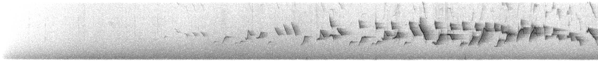 Белолицая x Очковая канделита (гибрид) - ML36823331