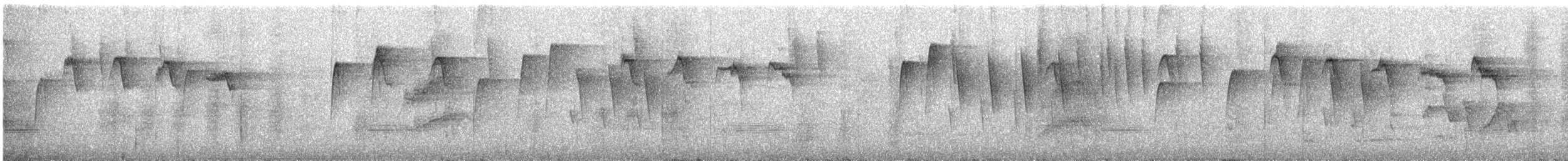 Zuckervogel - ML368244371