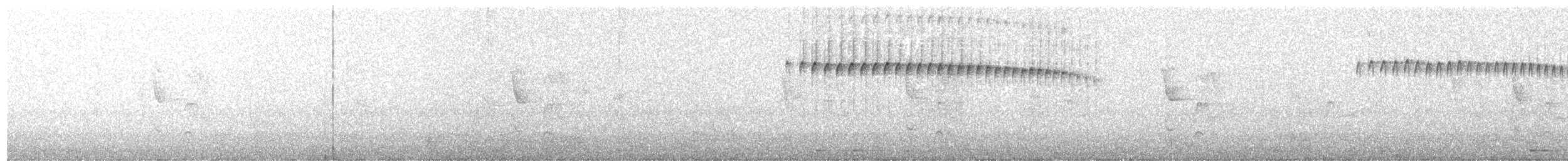 Picumne frangé - ML368372501