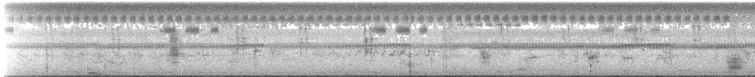 棕扇尾鶯(tinnabulans群) - ML368395771