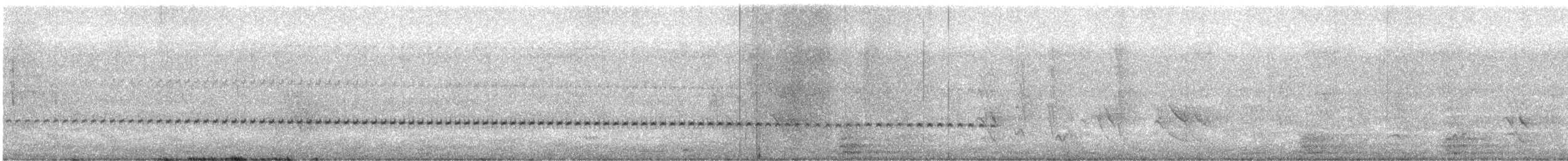 pygmégjøk (minutillus gr.) - ML368440421