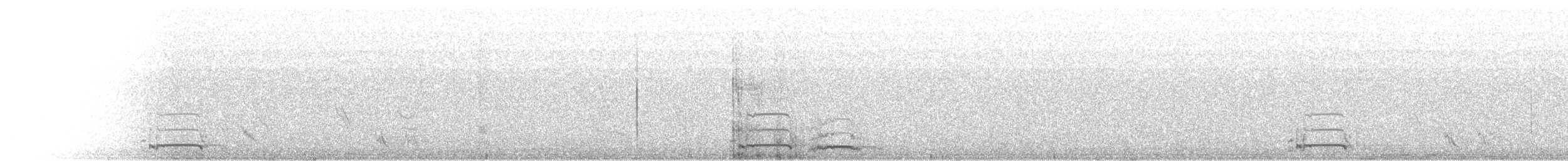 svarthalstrane - ML368449561