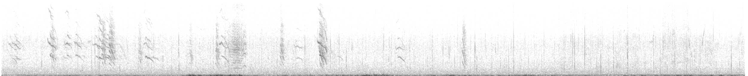 Austral Blackbird - ML368558581