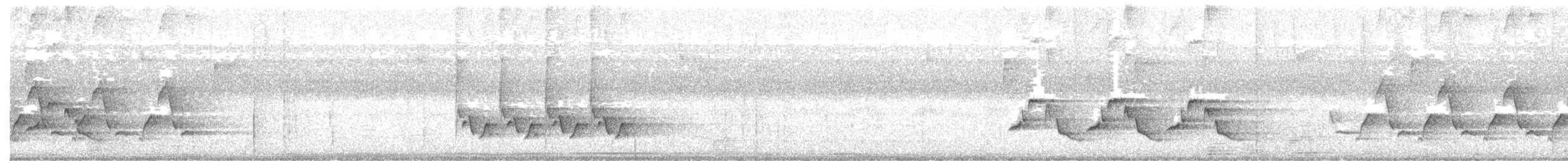 Carolina Wren - ML368598931