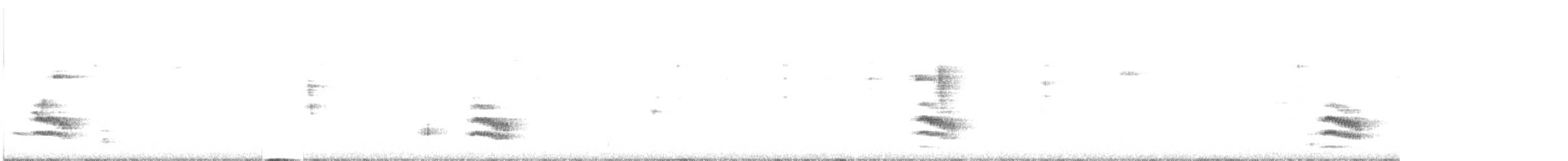 Weißbrustkleiber - ML368612461