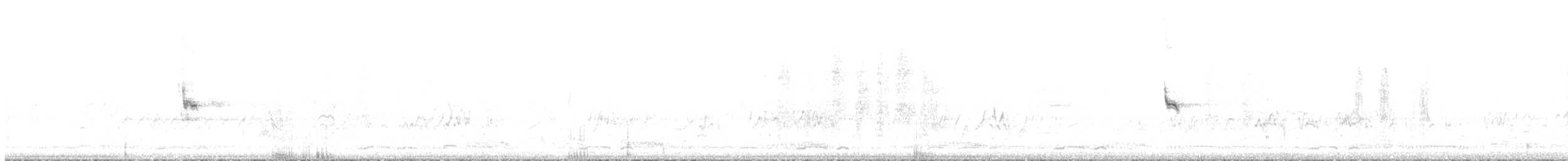 Чернохвостая ложнопищуха - ML368704771