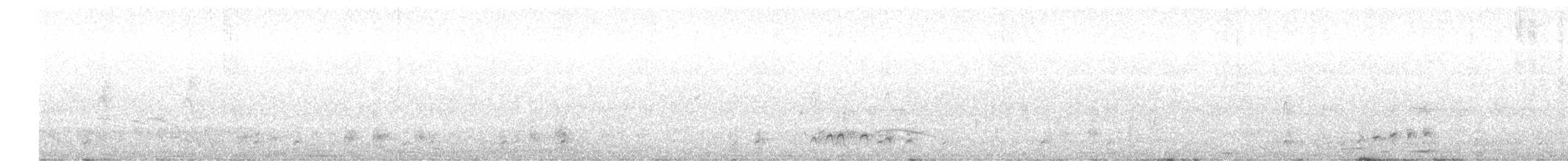 maoridykkand - ML368735281