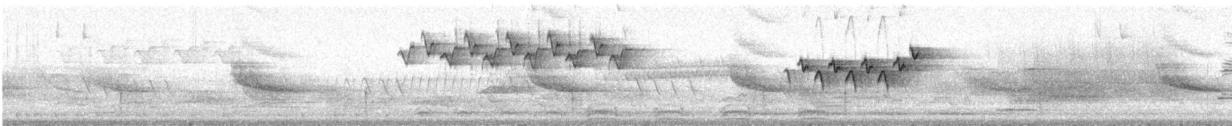 Black-and-white Warbler - ML368761701