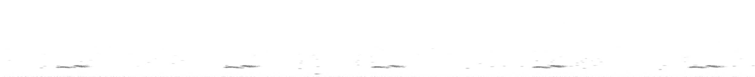 Winternachtschwalbe - ML368763501