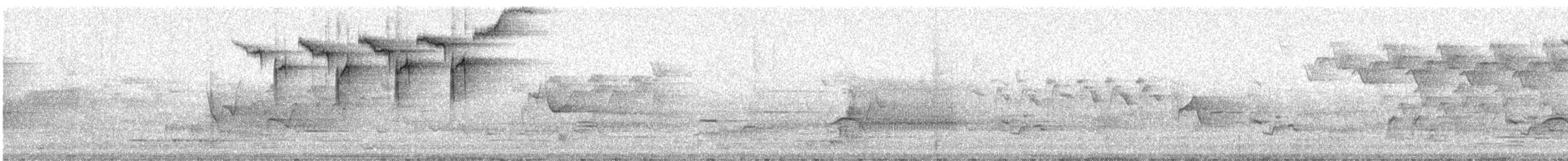 Blackburnian Warbler - ML368765161