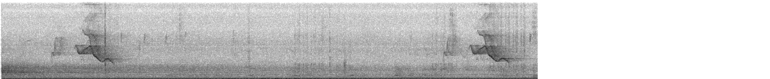 Зернолуск еквадорський - ML368785131