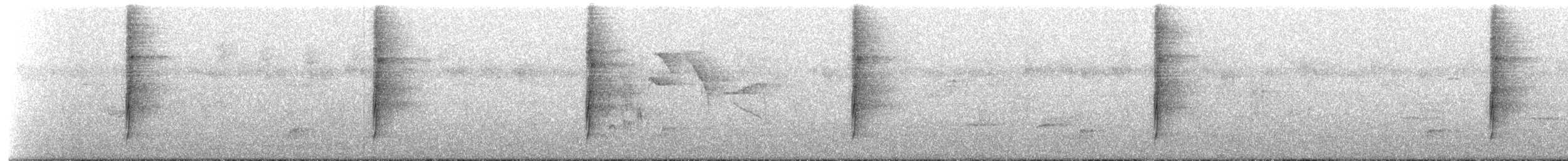 White-spotted Woodpecker - ML368806791