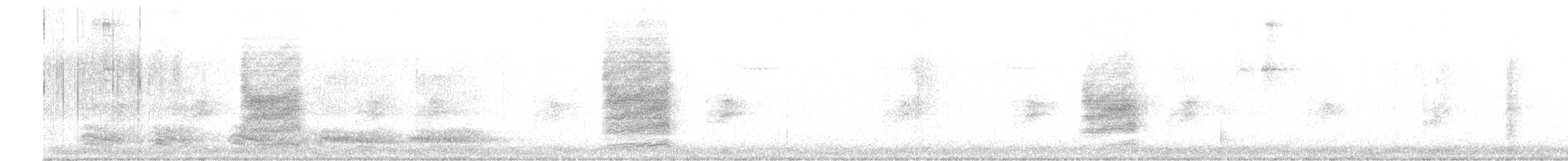 Тауї плямистий - ML368962301