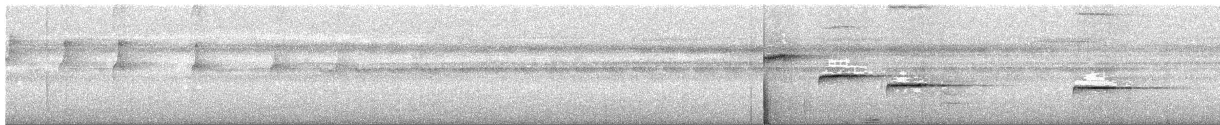 Troglodyte siffleur - ML369039121
