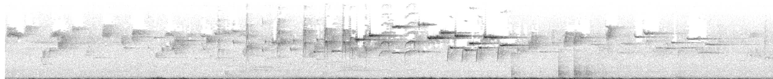 Rhipidure gris - ML369044531