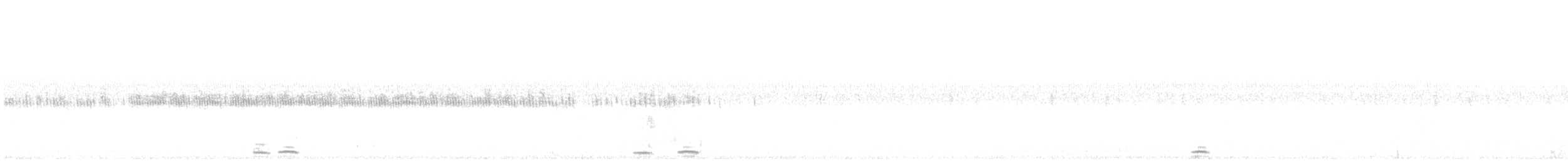 Cisne Trompetero - ML369097911