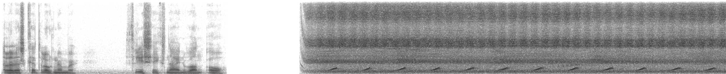 holub světleoký - ML36910
